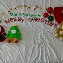 와다다펫푸드 이미지