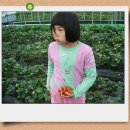 명훈농장 이미지