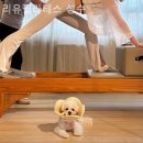 유플레이스 | 성수동 2가 필라테스 리유필라테스 성수 필라테스 플레이스 분위기 솔직 후기