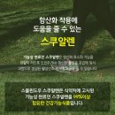 스몰윈도우스쿠알렌 - 목포시 청호로 116 | 스몰윈도우스쿠알렌