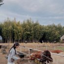 진성목장 이미지