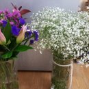 수고한 나에게 주는 , 꽃 이미지