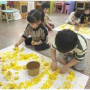 위즈어린이집 이미지