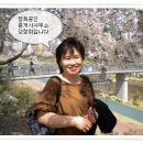 정희공인중개사사무소 이미지