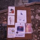 Domus(도무스) 이미지