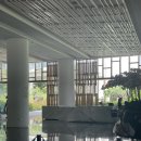 베트로 | 15개월 아기와 나트랑여행 숙소 '알마리조트' | 워터파크, 키즈룸, 조식 내돈내산 솔직후기