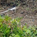 덕천리 삼거리 민박 이미지