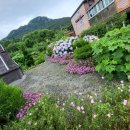 피스키나풀빌라2 이미지