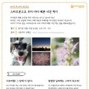 예쁜 아이 센터 이미지