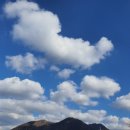 연천군보건의료원 가동 이미지