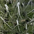 헬로우마켓 이미지