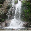 지리산추성민박 | 2011. 7. 17. 지리산(국골-초암능선)