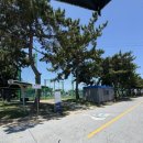 을숙도 리틀야구장 이미지