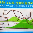 키피콩