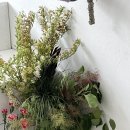 안곡로159번길 이미지