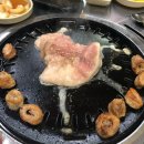 해맑음막창 네이버블로그