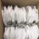 국가대표 경희대 빛 태권도 이미지