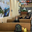 베트남 사파 가는법 여름 사파여행 G8 슬리핑버스 후기 vexere 예약