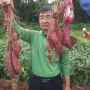 염치읍주민센터 이미지