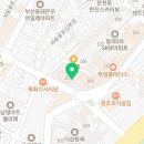 부산고양이분양 모나미네코 동래점 이미지