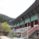 월봉서원 | 월봉서원 방문 후기: 평화로운 한국 전통 문화 체험