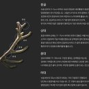 설화사슴목장 네이버블로그