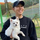 로꼬