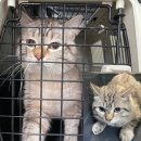 강릉대로 이미지