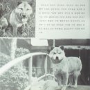 황구생각