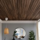 반려견 이해하기(펫) 이미지