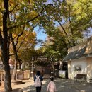 비룡어린이집 | [용인 에버랜드/글램핑힐] 6살 아이들과 에버랜드 평일 올데이 글램핑 내돈내산 후기 (시설, 아쉬운점)