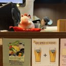호요샤브 | [창원맛집] 상남동 호요샤브 : 1인 샤브샤브 혼밥 추천 후기