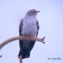 합천부동산공인중개사사무소 이미지