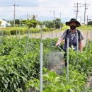 전라북도 농업기술원 이미지