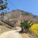 금봉자연휴양림 이미지