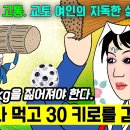 오사카/교토 7박8일 총지출 정리 이미지