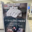 이브자리코디센스타필드 - 1554 | 이브자리코디센스타필드