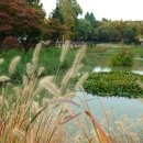 어린이대공원 이미지