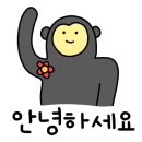 202타이아로마 이미지