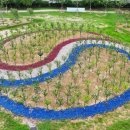 쌍암동산 이미지