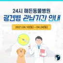 해든동물병원 이미지