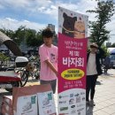 펫 로드스타 컴퍼니 이미지