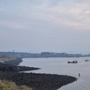 태안호스릴-39 | 태안 출조 후기 (24/12/01) <쭈>