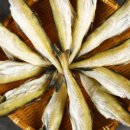 진짜노가리 이미지