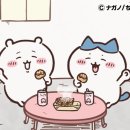 타코비 이미지