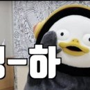 브로우드림