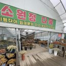 소원정 이미지