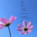 여백 이미지