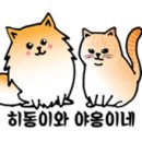 호두] 히동이와야옹이네 / 강아지캔, 강아지주식캔, 그레인프리 릴리 도그 릴리캔 !