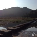 금산군 관광안내소 이미지